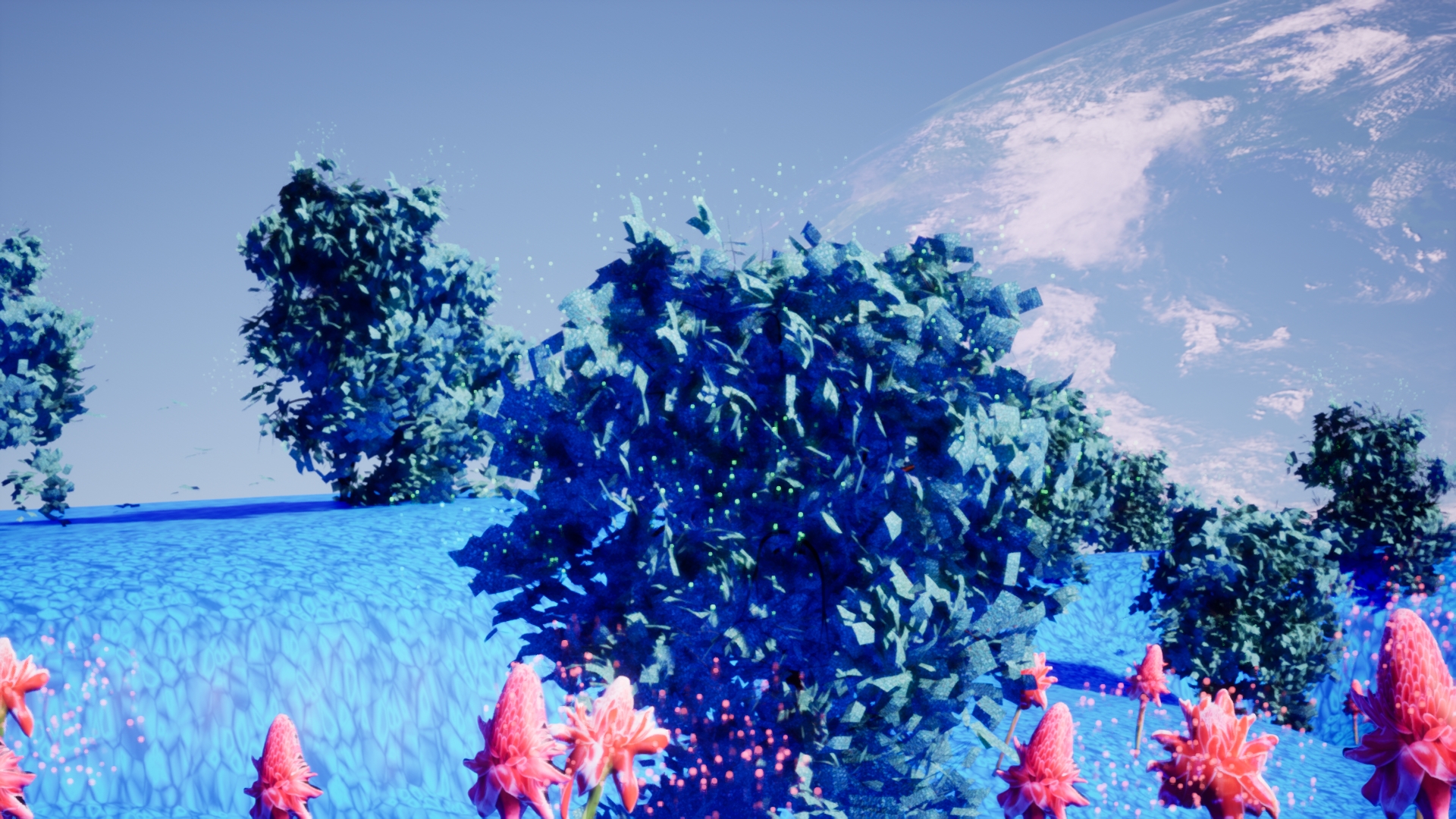 Je choisis le montant